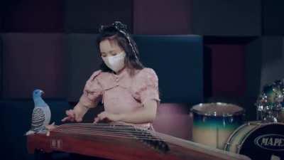 Playing Linkin Park's Numb on a Guzheng