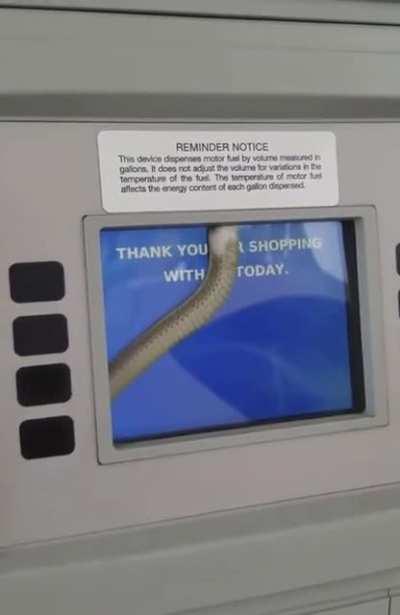 Found slithering in a gas pump in Kansas