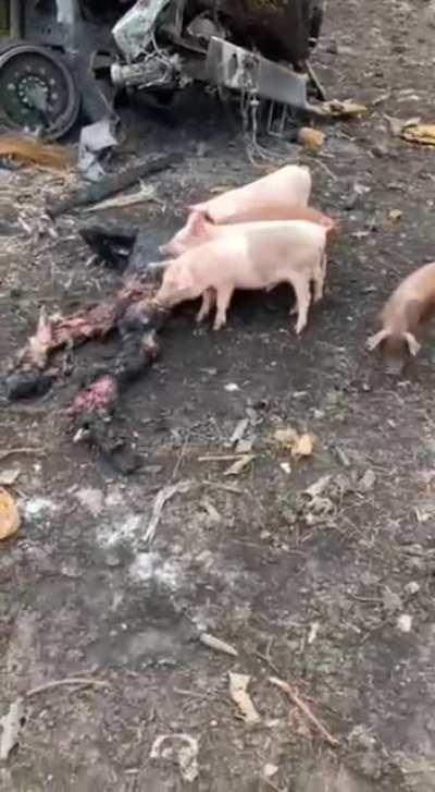 Russian soldiers eating a dead russian soldier