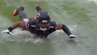 Ride the slide all the way to first in the North! Bear Down!