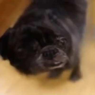 This is why they didn't Deepfake Edgar