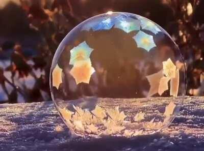 A freezing bubble