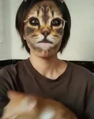 Cats reaction to cat filter