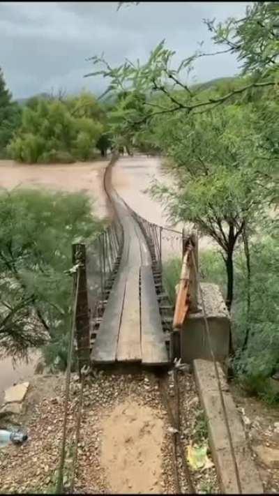 This dancing bridge