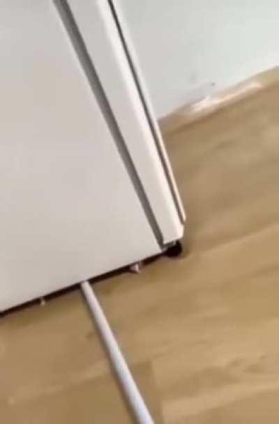 WCGW Cleaning under the fridge.