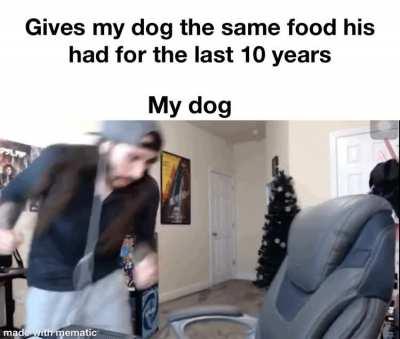 Yummy dog food