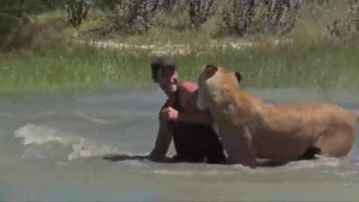 Isn't being friend with lioness amazing!