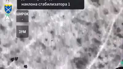 UAV operators of the 109th TDF Brigade dropped grenades on a group of Russian soldiers. Novobakhmutivka direction (Northeast of Pokrovsk) September 2024.