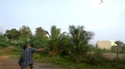 Ancient Tamil boomerang axe looks like it's defying physics.