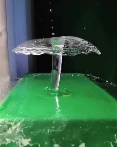 Water mushroom