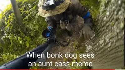 Beware aunt cass, bonk dog is not leaving you alive