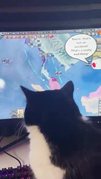 My cat is studying the Meta, how do I fix this?