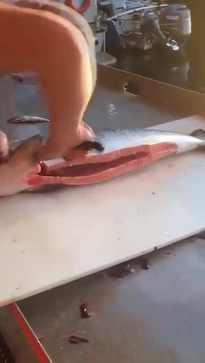 Salmon cutting technique