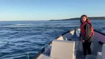 Whale doing twists in Newfoundland - pretty amazing. Live your best life