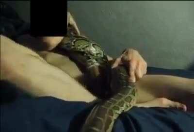 Don’t put your dick in a snake..