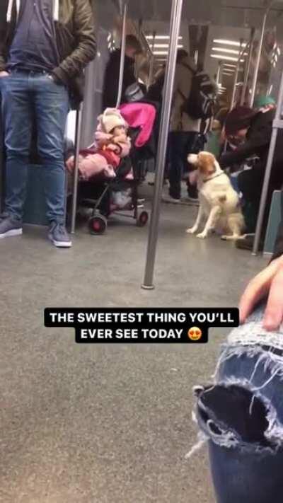 Kid offers snack to gentle doggo