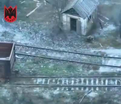 FPV Operators of RAROG battalion of the 24th Brigade target a Russian occupied cellar, and a wounded Russian hiding in a wooden shack [22.1.25]