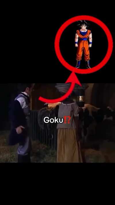 Goku(?)