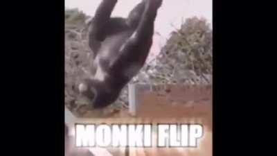 Monke backflip