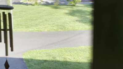 Guy uses my U-shaped driveway to turn around, and MOONS me!