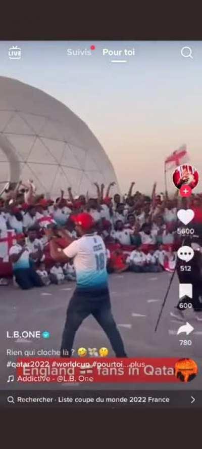 Fake fans in Qatars