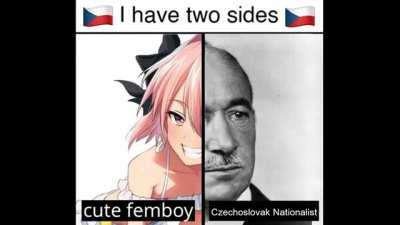 Seen the Slovak state version of this meme so i made one for Czechoslovakia because its 1 am and i have nothing better to do with my life