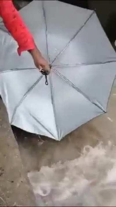 Fishing with an umbrella 