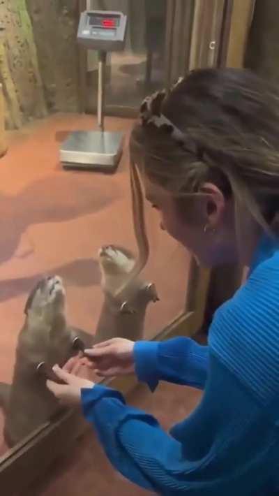 Zoo has hole, so you can hold otters paws