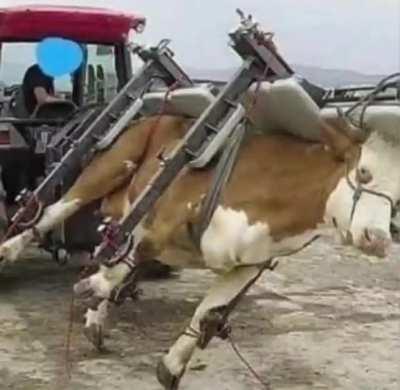 Atom heart mother?? 😥😢