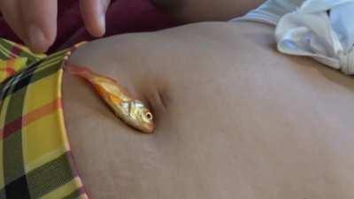 Would you trade places with this goldfish?