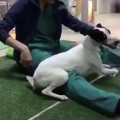 Good girl lost the ability to walk after an illness — but this woman worked her magic. Humanity...