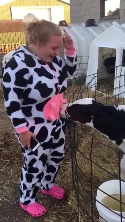 The cow thought she was the mother cow 😂