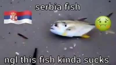 Bosnia Fish &amp;gt; Serbia Fish