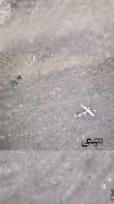 Ground Drone of the National Police of Ukraine captures a fallen Russian Orlan-30 UAV