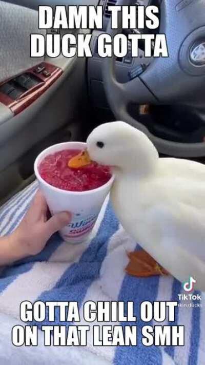 dawwmmm the duck is spiin on thet lean