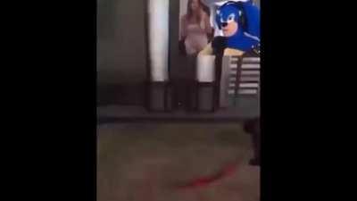 Sanic the hedgehog