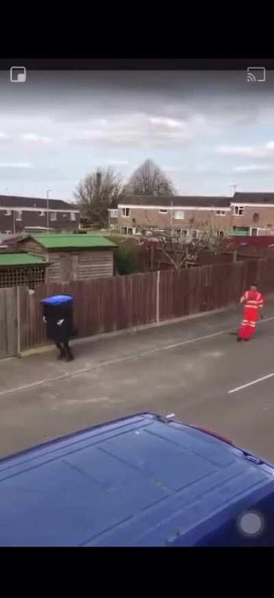 Bin day in Britain