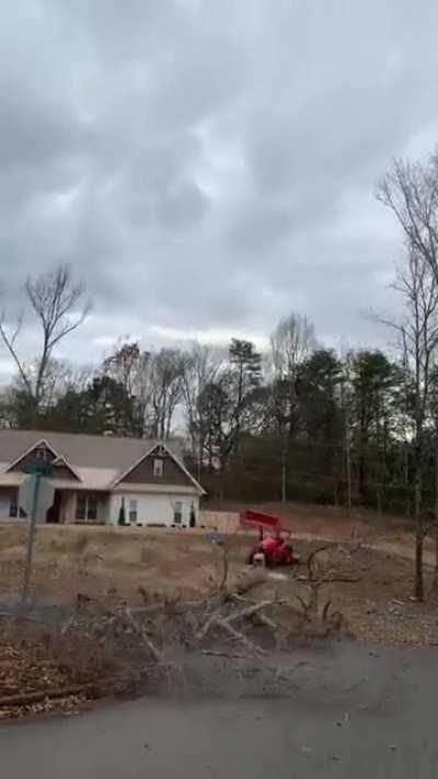 A dead tree instantly turning into firewood