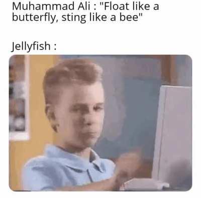 Jellyfish : yeah sure