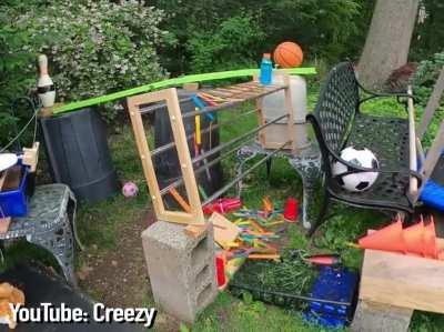 I spend 14 hours waiting for a squirrel to set off this Rube Goldberg Machine