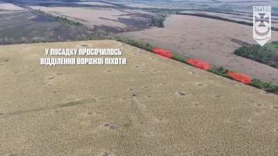 Crew of Ukrainian T-64 tank equipped with anti-drone protection fires at a tree line where Russian troops were seen trying to advance using the cover of vegetation. Bureviy Brigade, published on September 14, 2024