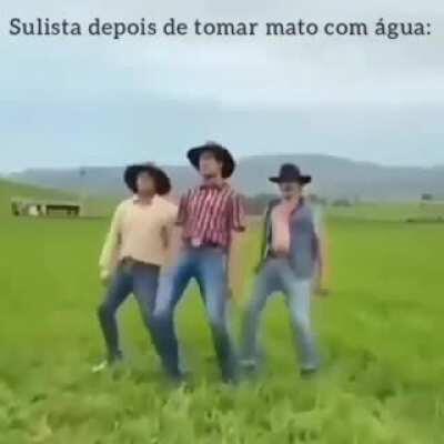 Alguém sabe a música ?