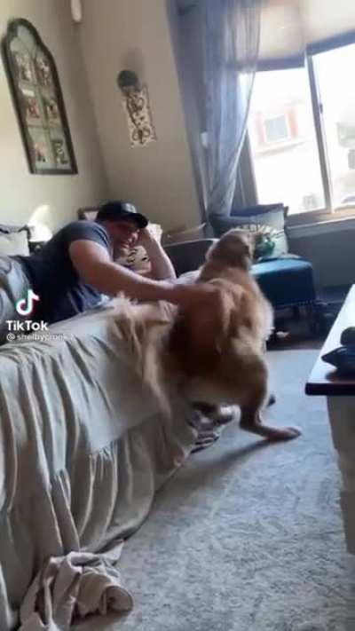 Doggy loves getting a butt rub.