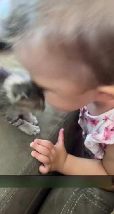 The sweetest kiss I've ever seen.