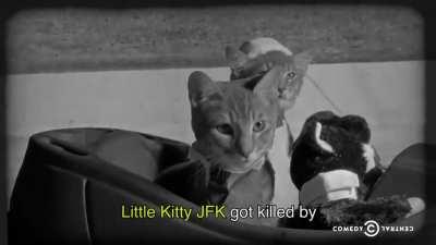 Kitty History