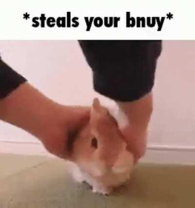 *steals your bnuy*