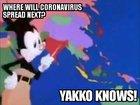 Where will coronavirus spread next? YAKKO KNOWS!!!