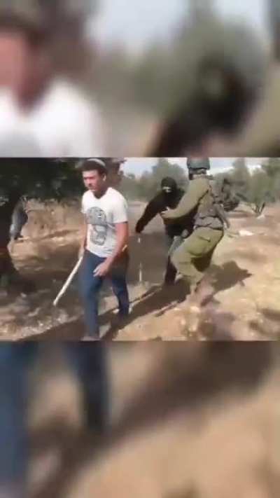 Zionist settler attacks Palestinians harvesting olives