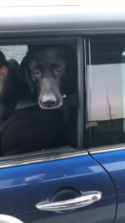 'Excuse me, pardon me, yes I ordered the frap-pooch-ino, thank you.'