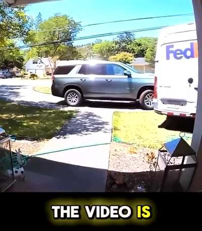 FedEx driver forgets to put van in park...